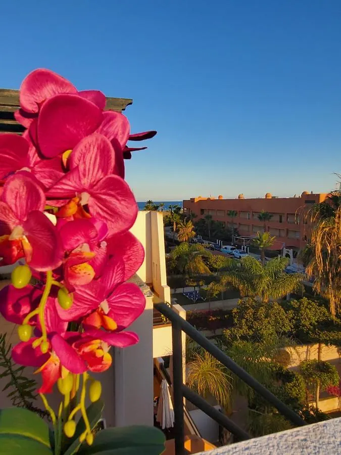 Apartment Atico Duplex Con Piscina Privada Y Vistas Al Mar En Paraiso De Vera!